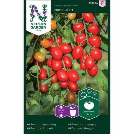 Cherry tomato Romello F1