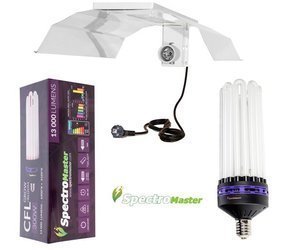 Spectromaster 300W, dual spectrum with CFL reflector