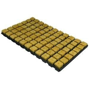 Grodan Rockwool Cubes in Tray 44mm-77pcs