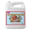 Advanced Nutrients Overdrive 500ml