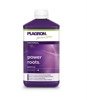 Plagron Power Roots 100ml