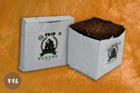 Gorilla Grow Cocos block 11L