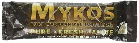 Mykos 100g