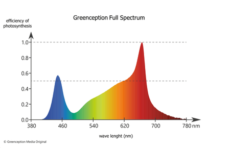 Greenception GC 4 LED 128W