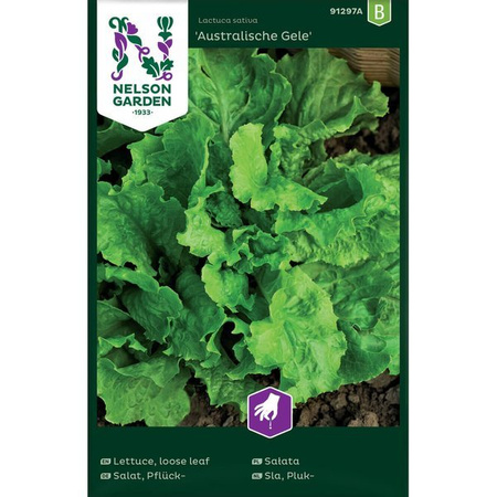 Loose leaf lettuce Australische Gele