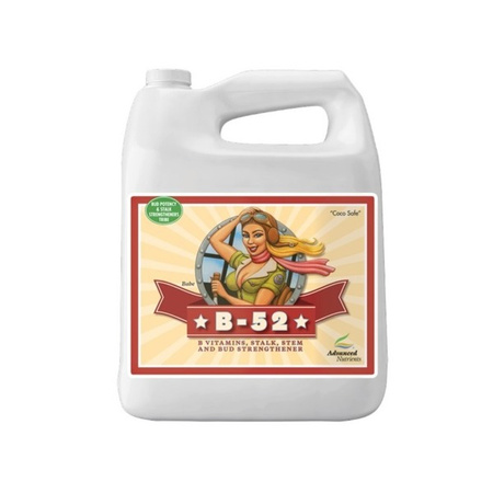 Advanced Nutrients B-52 10L