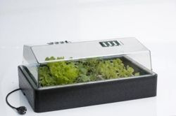 Eazy Plug Propagator with heating 60*40 POWER 50W