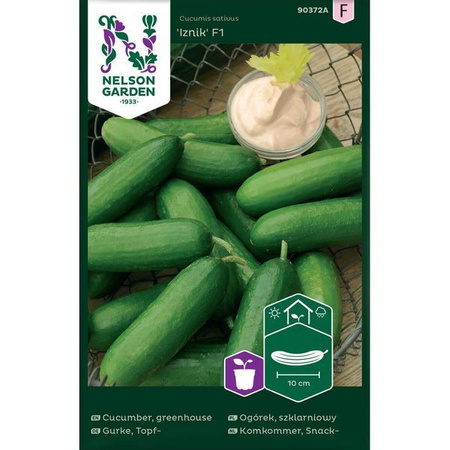 Mini cucumber Iznik F1