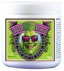 Advanced Nutrients Big Bud Powder 500g