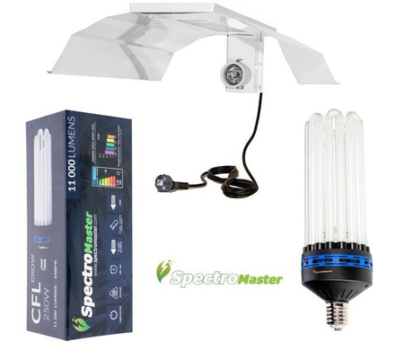 Spectromaster CFL Kit 250W Blue-6500k