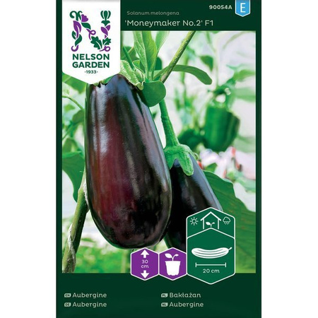 Aubergine Moneymaker No.2 F1