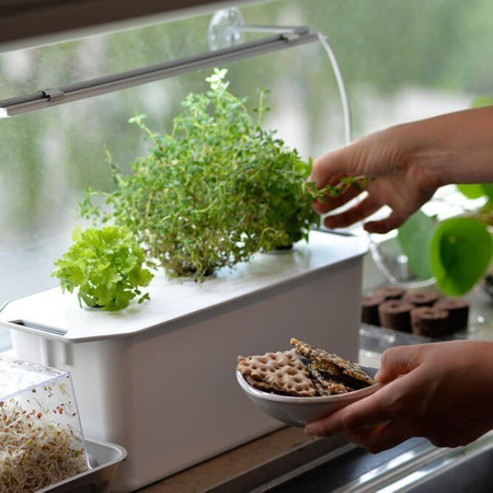 The Harvy 3 Grow Box - Pachet cadou