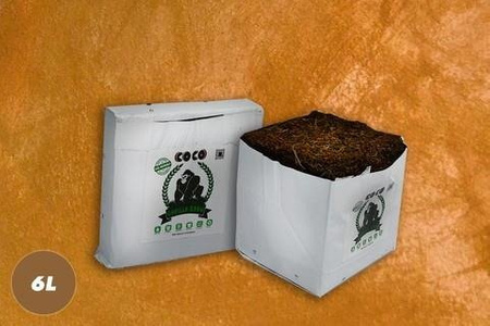 Gorilla Grow Cocos block 6L