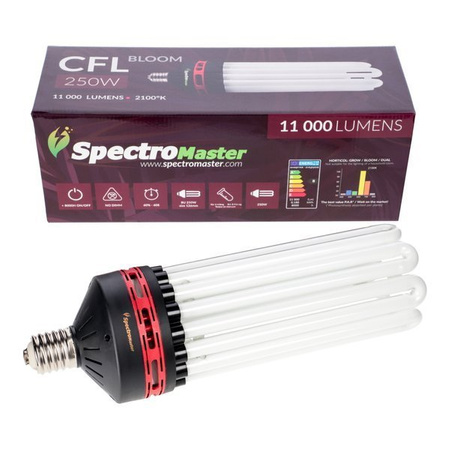 Spectromaster 250W - 8U - 2100°K Blüte