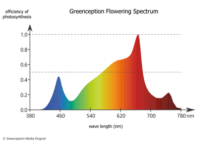 Greenception GC Bar 8 560W