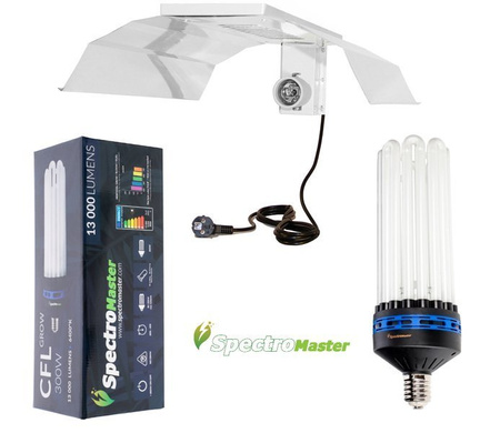 Spectromaster 300W  blue - for growth phase with CFL reflector