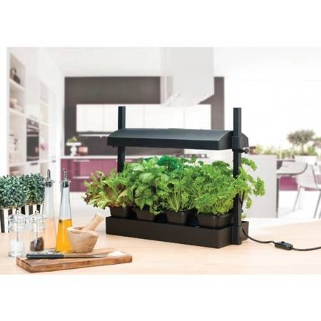 Garland Micro Grow Light Garden Black