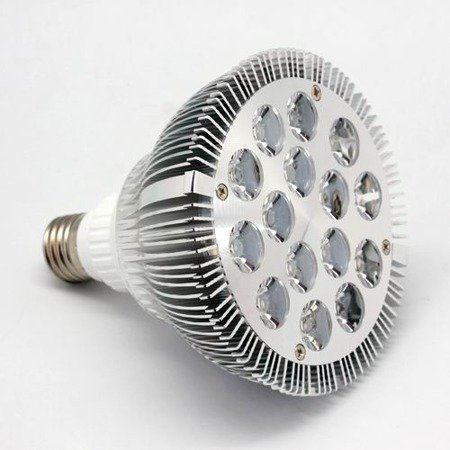 Spectromaster LED 54W PAR