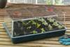 Garland XL High Dome Propagator 