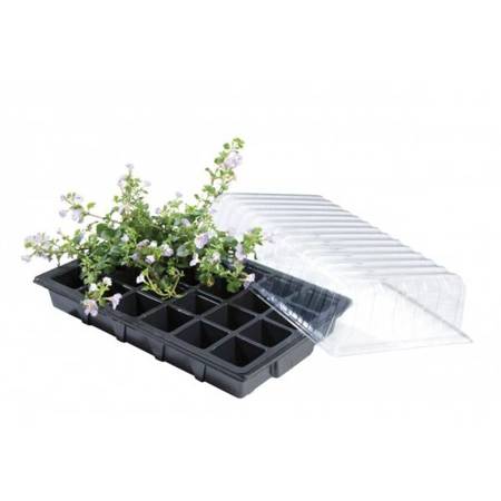 Garland Standard Propagator