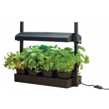 Garland Micro Grow Light Garden Black